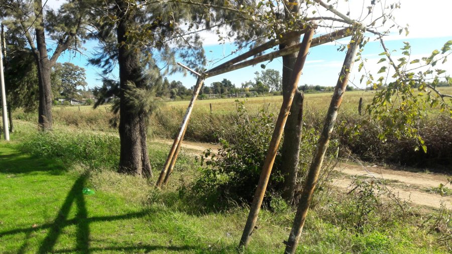 archivo privado EDP