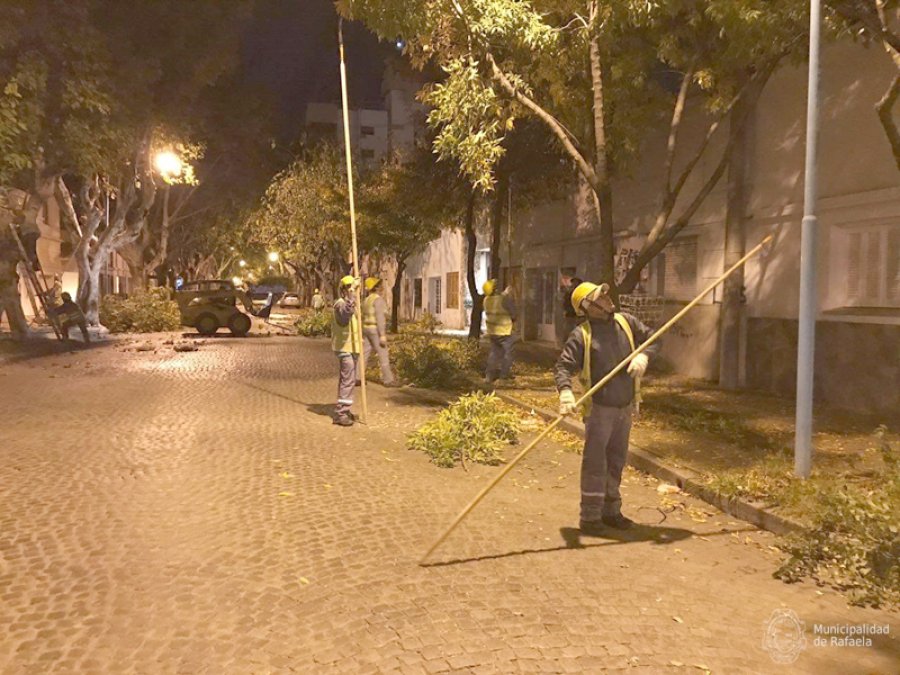 FOTO PRENSA MUNICIPAL ADOQUINADO. Actualmente se trabaja en restaurar calle Alem. VIEJO MERCADO. El Centro Cultural forma parte de la geograf&iacute;a del 30 de Octubre. CALLE ALVEAR. Se hace una intervenci&oacute;n en el arbolado y en las veredas.