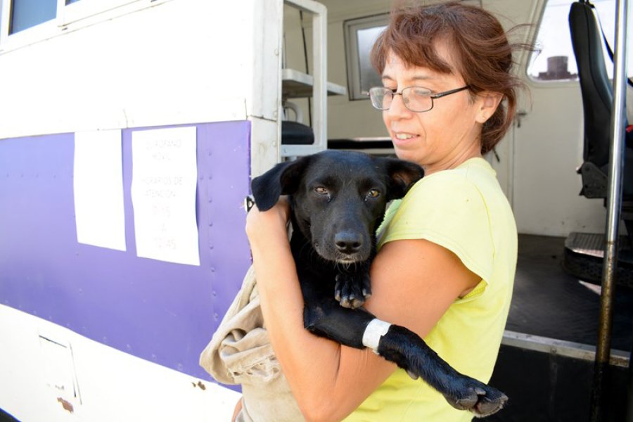 FOTO SCP// MASCOTAS./ Se llevan a cabo acciones para el control poblacional, como as&iacute; tambi&eacute;n para el bienestar animal.