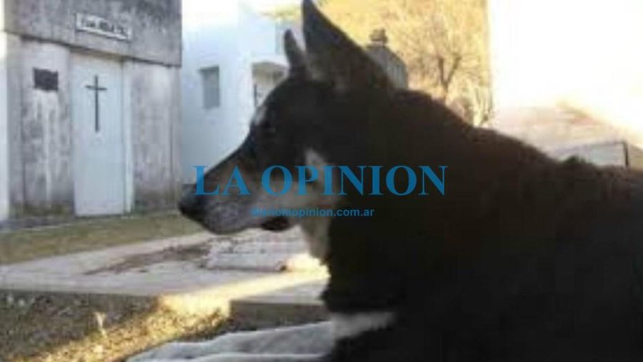 FOTO ARCHIVO