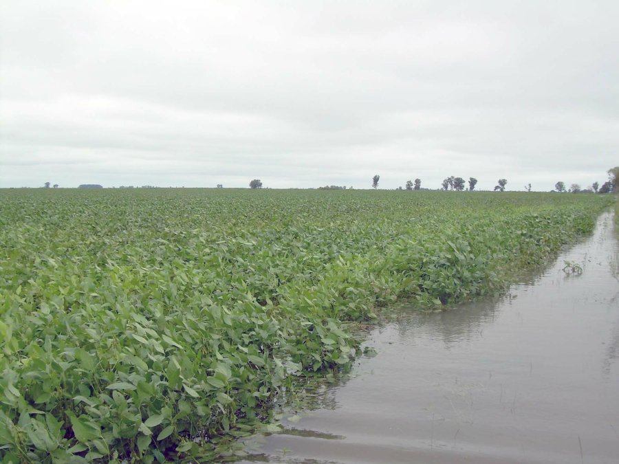 FOTO ARCHIVO INUNDACIONES./ Parece una realidad lejana, pero ocurrieron hace un a&ntilde;o; ahora la contracara: sequ&iacute;a.
