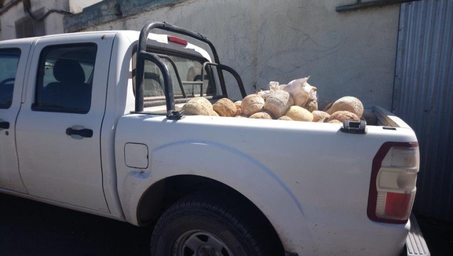 FOTO MINISTERIO DE AGROINDUSTRIA MERCADERIA./ Interdictaron m&aacute;s de 88.000 kg. de productos l&aacute;cteos.