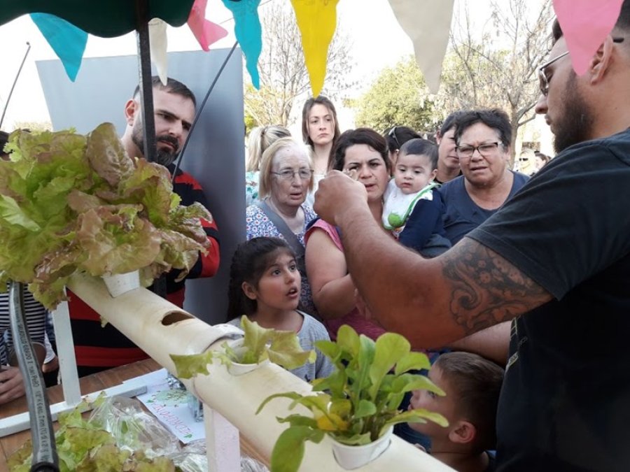 FOTO SCO// HIDROPONIA./ Imagen capturada en la anterior realizaci&oacute;n.