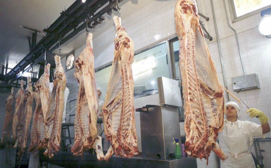 FOTO ARCHIVO CARNE. Aumenta matanza de hembras.
