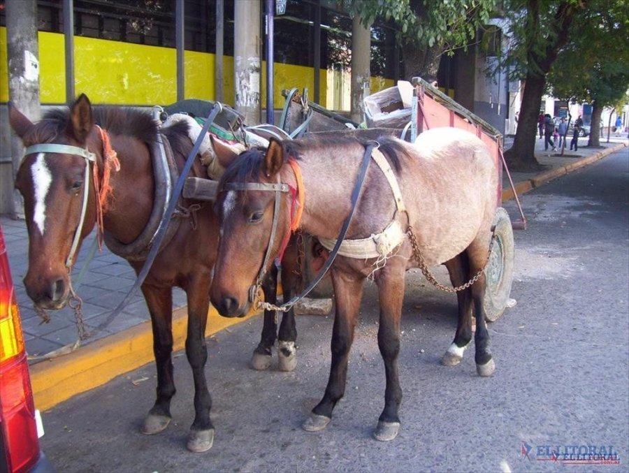 FOTO ARCHIVO