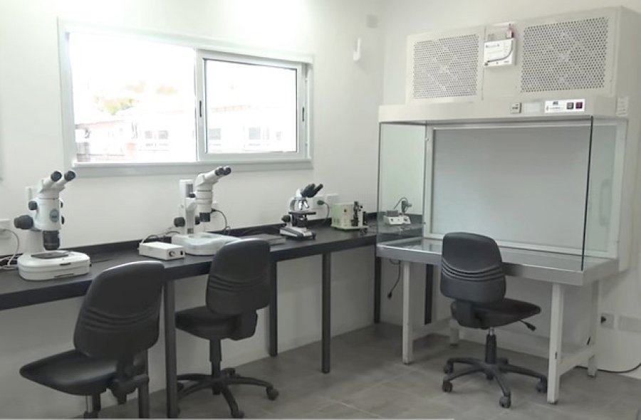 FOTO SLT-FAUBA LABORATORIO SALAMONE./ Permitir&aacute; desarrollar nuevas l&iacute;neas de investigaci&oacute;n.