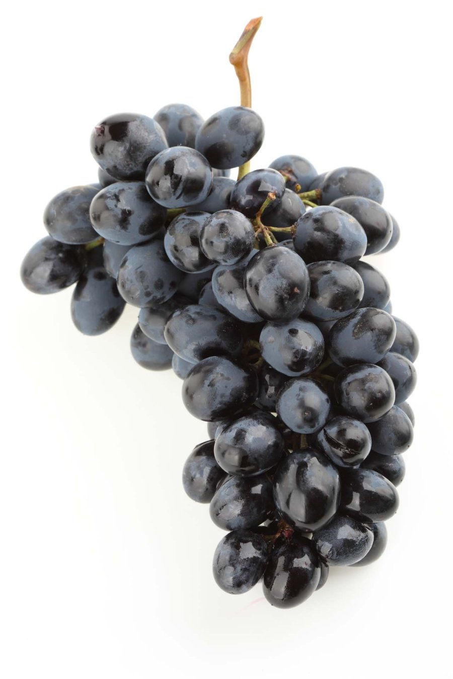 FOTO ARCHIVO// UVAS NEGRAS./ El resveratrol se encuentra en su piel, pulpa y semillas.