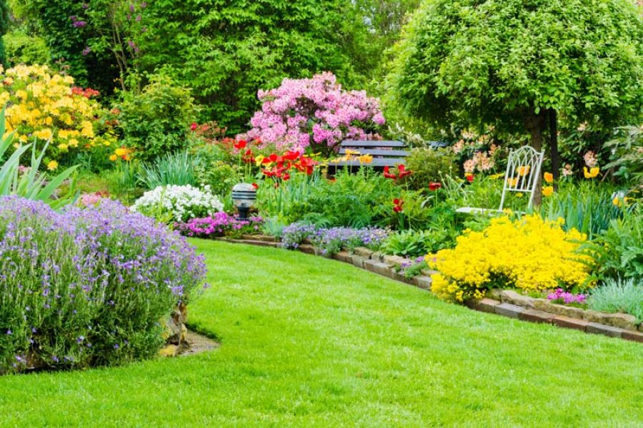 FOTO ARCHIVO JARDIN./ &iquest;Cu&aacute;les son los arbustos aconsejables para el oto&ntilde;o-invierno?