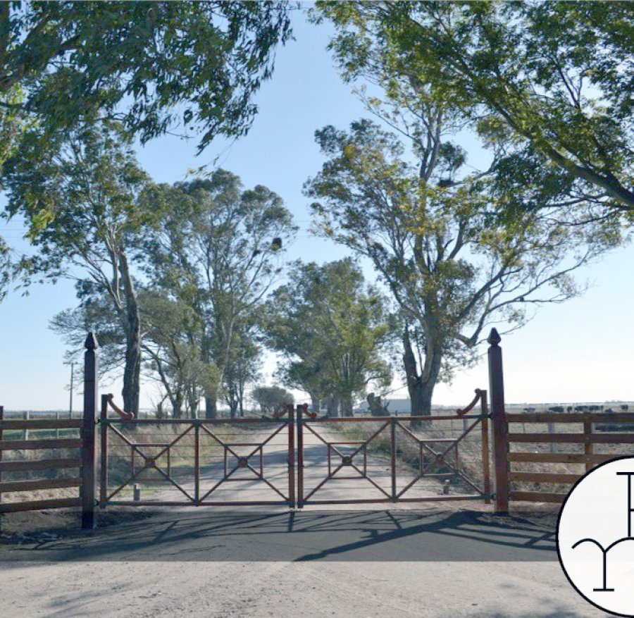 FOTO ELRINCONDELNORTE.COM.AR INGRESO./ Plantar &aacute;rboles en los establecimientos agropecuarios.