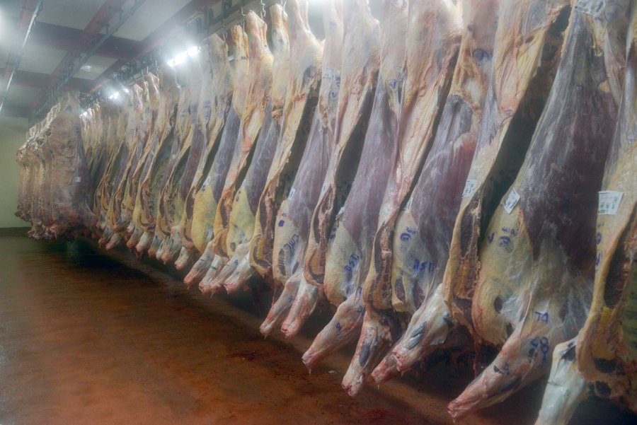 FOTO AGROINDUSTRIA CUOTA HILTON./ Los interesados en exportar disponen del procedimiento.