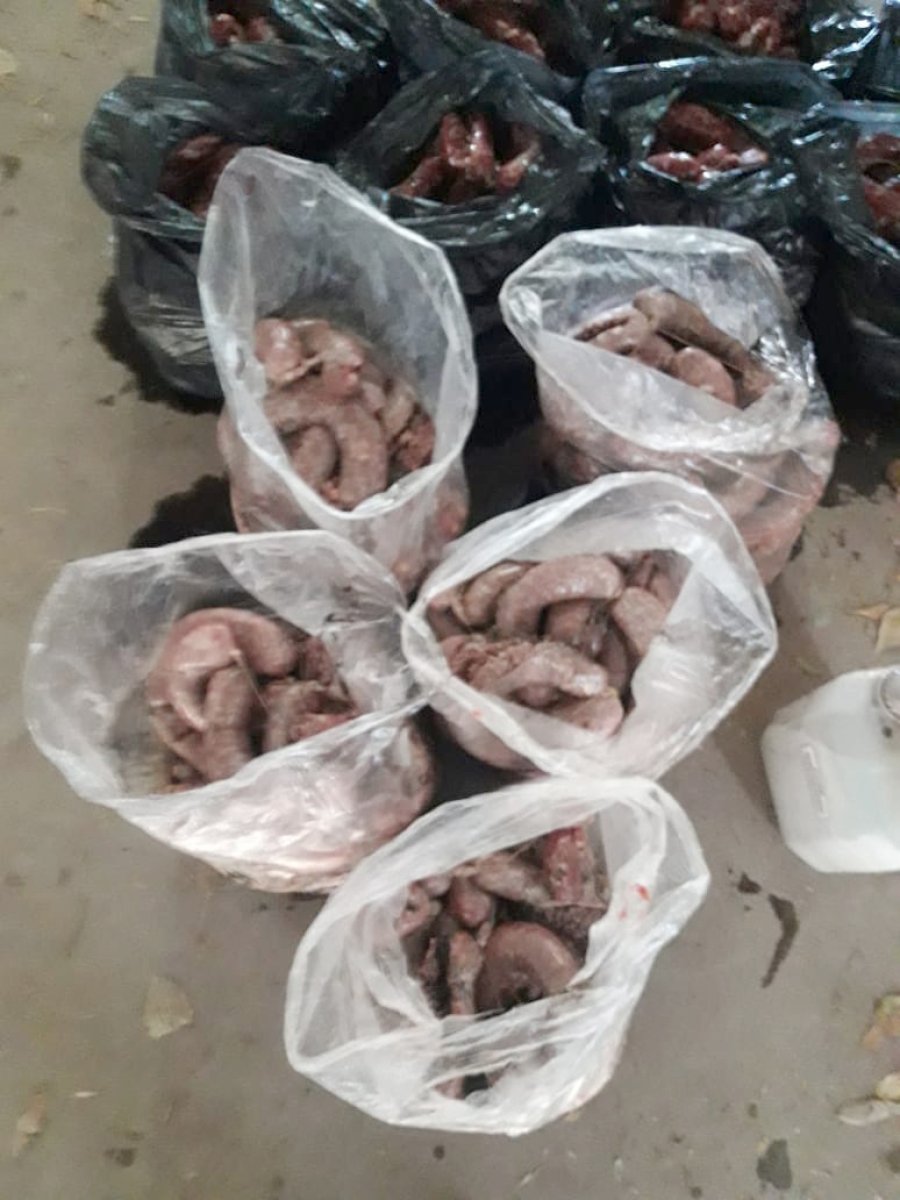 FOTO COMUNICACION// CHACINADOS./ Fueron decomisadas 150 unidades de chorizos secos y 182 frescos.