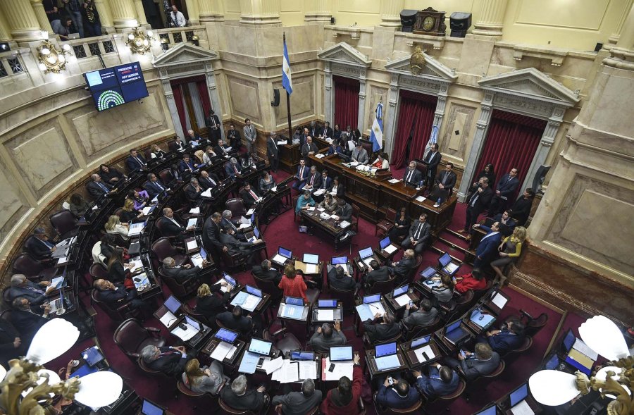 FOTO ARCHIVO  SENADO./ En agosto votar&aacute; sobre el aborto.