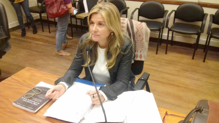 FOTO MPA CONDUCE LA INVESTIGACION. La fiscal del MPA, Fiscal&iacute;a Regional N&ordm; 1, Ana Laura Gioria.