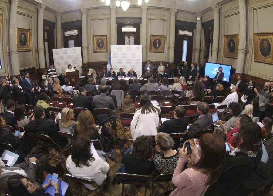 FOTO NA EN MARCHA. El Senado definir&aacute; la suerte del proyecto sobre legalizaci&oacute;n del aborto.