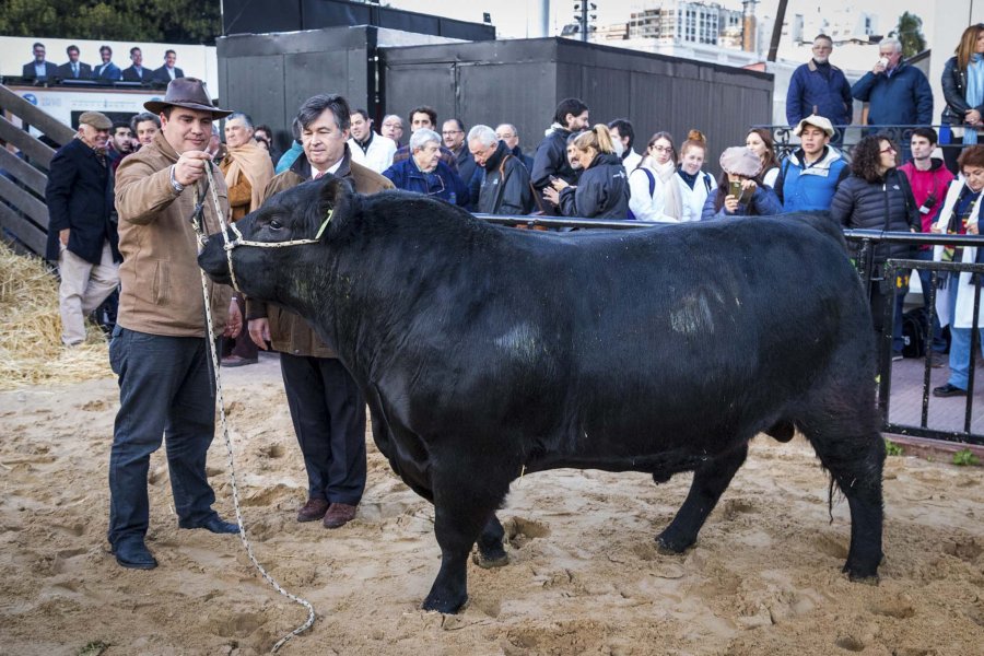 FOTO NA QUE JUGADOR. Mbapp&eacute; al ser presentado en la Rural.