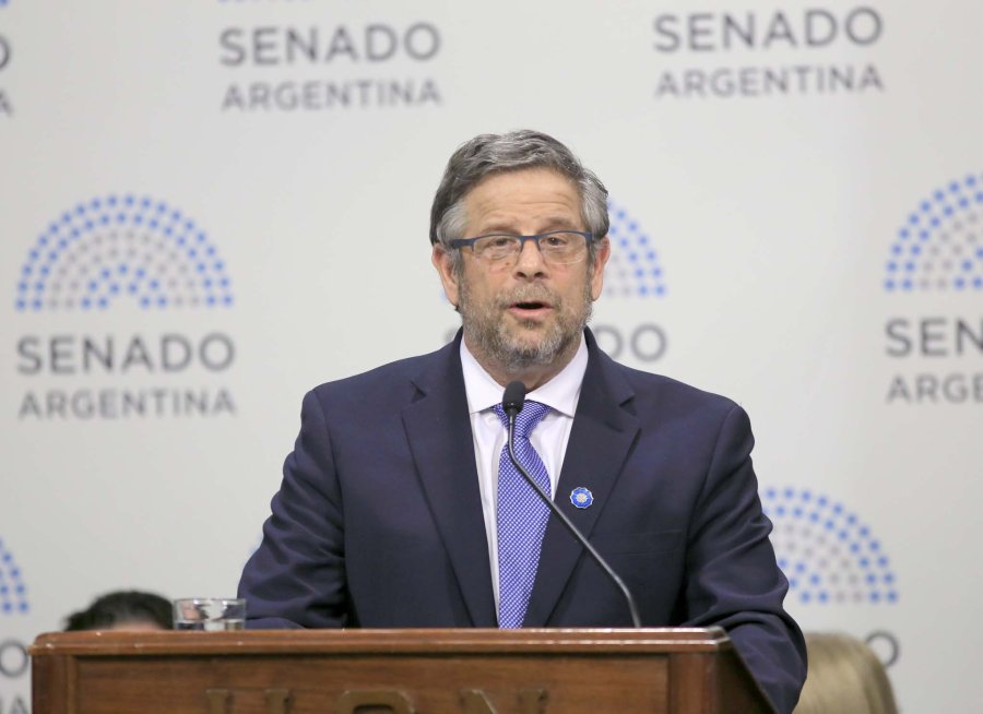 FOTO NA RUBINSTEIN. Expuso en la C&aacute;mara alta.