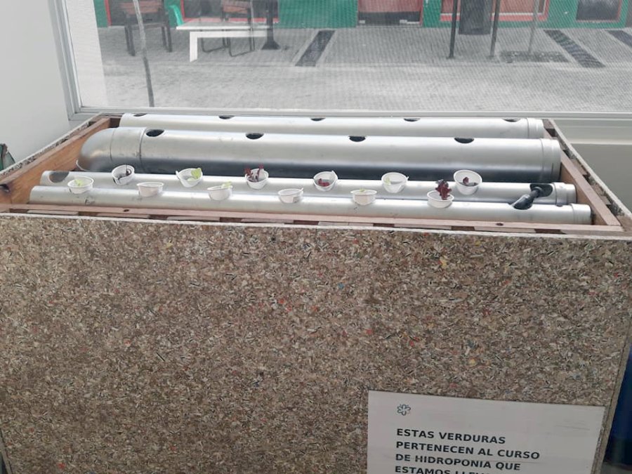 FOTO IDS RACK DE HIDROPONIA./ Esta peque&ntilde;a infraestructura en el hogar.