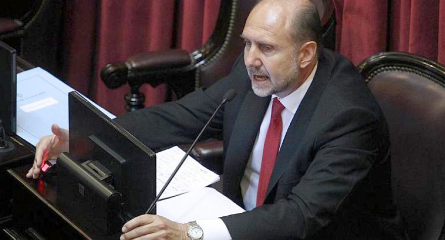 FOTO NA PEROTTI. Se inclinaba por una abstenci&oacute;n respecto al proyecto que ven&iacute;a de Diputados.