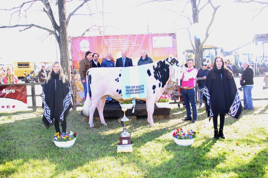 FOTO J. BARRERA CAMPEON MACHO./ El premio fue para la Caba&ntilde;a La Magdalena de la familia Felissia de Rafaela.