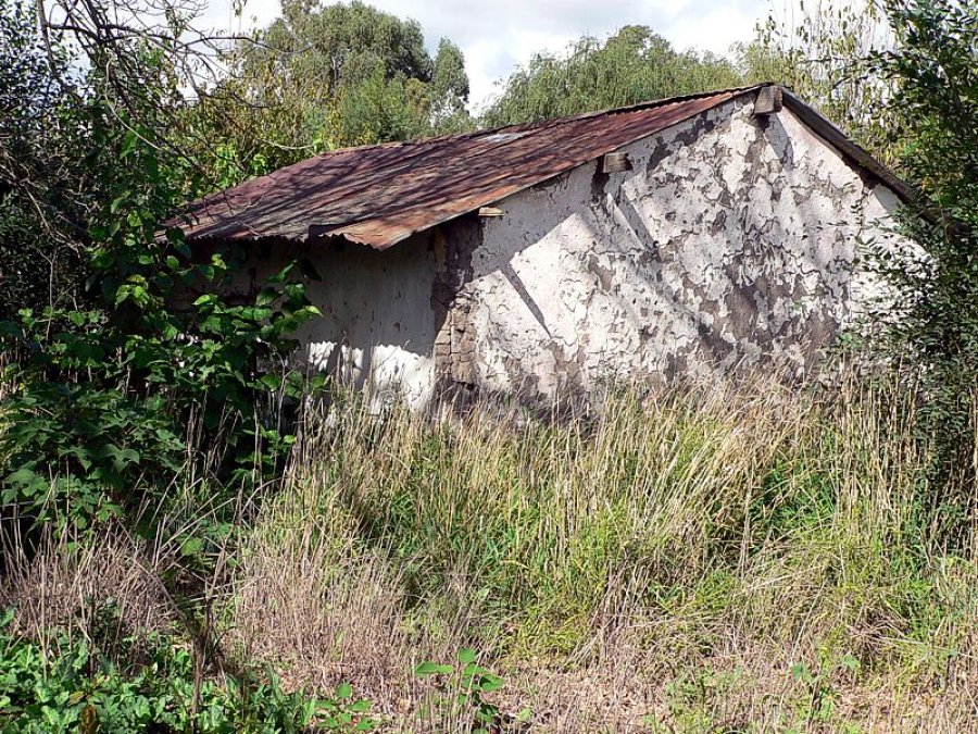 FOTO ARCHIVO