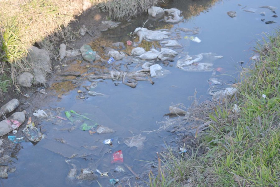FOTO PRENSA MUNICIPALIDAD// CANAL./ El curso de agua invadido por residuos.