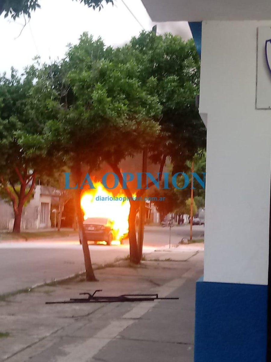 FOTO Y VIDEOS: GENTILEZA PAOLA
