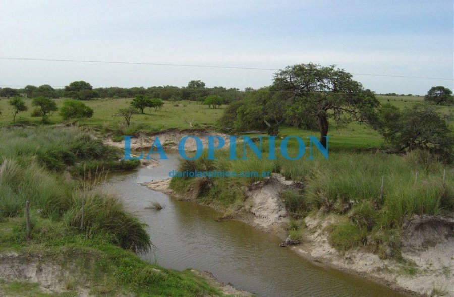 FOTO ARCHIVO