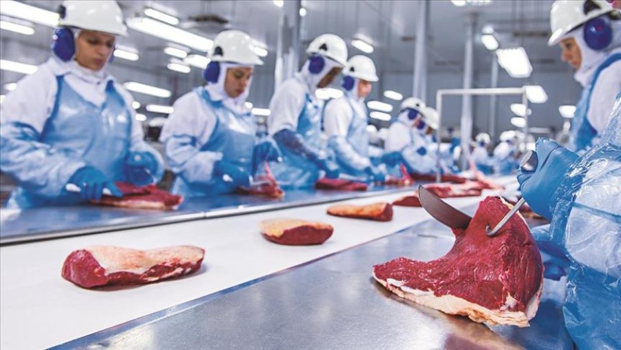 FOTO ARCHIVO CARNE VACUNA. La exportaci&oacute;n creci&oacute; por encima del 50% en valores durante 2018.