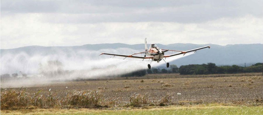 FOTO INTERNET FUMIGACION. Senasa le dio luz verde a productores del norte del pa&iacute;s.