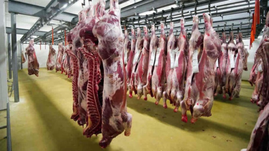 FRIGORIFICOS. Cambios en el mercado ganadero y la situaci&oacute;n econ&oacute;mica generan complicaciones.