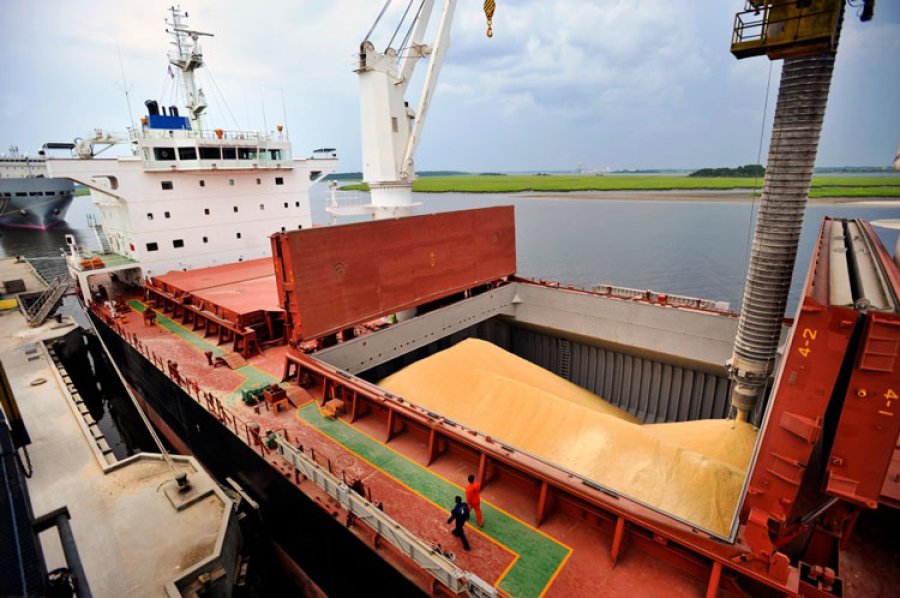 FOTO ARCHIVO GRANOS. Las exportaciones alcanzar&iacute;an un total de 28.000 millones de d&oacute;lares en 2019.