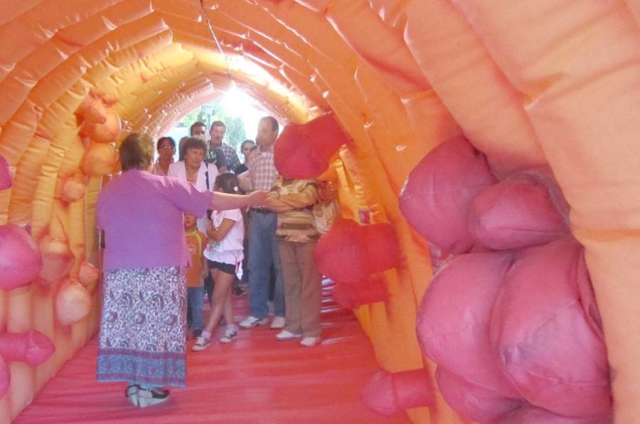 FOTO PRENSA LALCEC// ESTRUCTURA INFLABLE./  Ser&aacute; exhibida los d&iacute;as 19 y 20 de marzo.