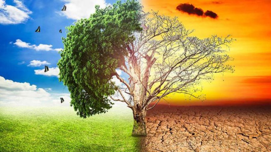 FOTO ARCHIVO PLANETA. En alg&uacute;n momento habr&aacute; que ponerse manos a la obra para frenar el cambio clim&aacute;tico.