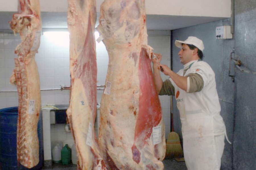 FOTO INTERNET CARNE VACUNA. China sigue aspirando vol&uacute;menes in&eacute;ditos de carne vacuna.