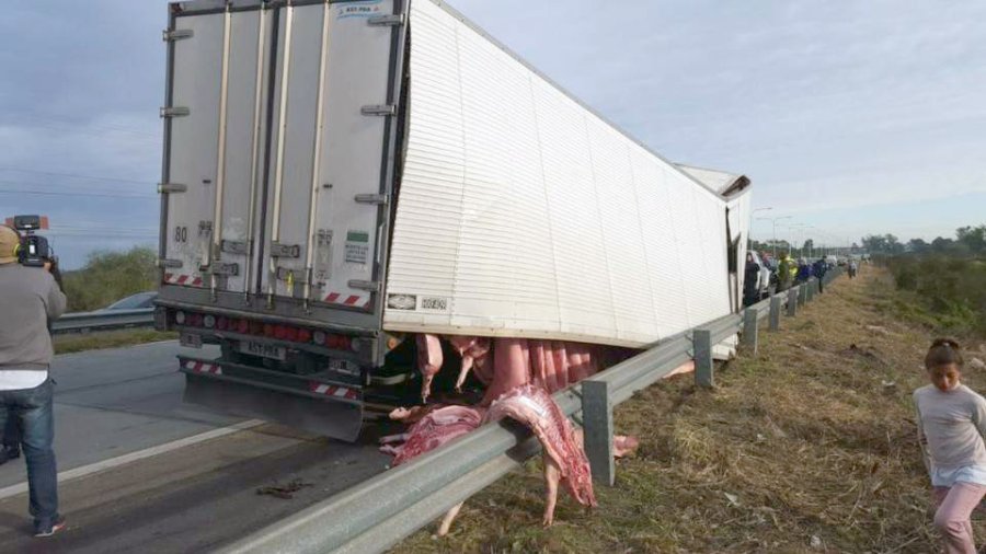 FOTO WEB EN LA RUTA 168. Las medias reses de cerdo que se llev&oacute; la gente.