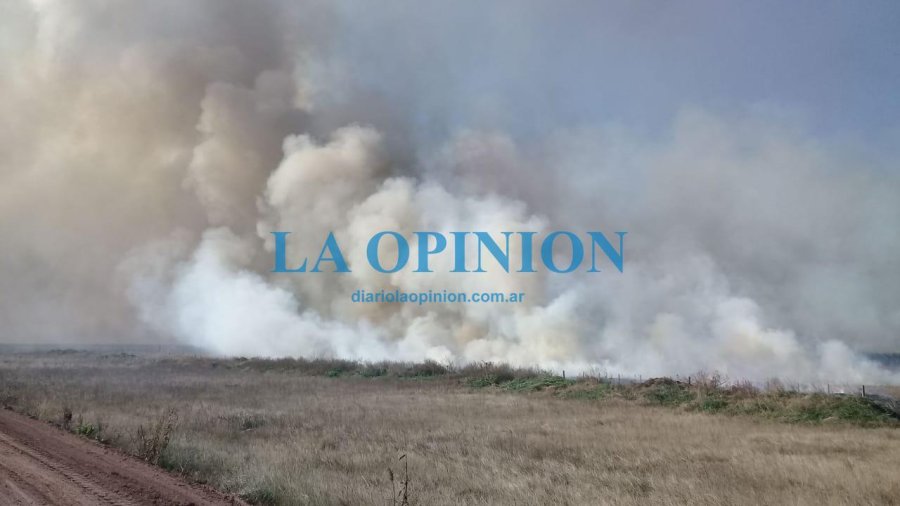 FOTO Y VIDEO DE DIEGO OLIVA