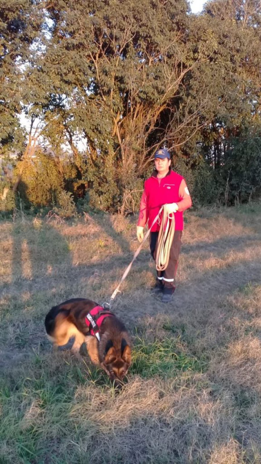 FOTO MERIDIANO DIGITAL BUSQUEDA. Ayer, los efectivos utilizaron perros y un drone.