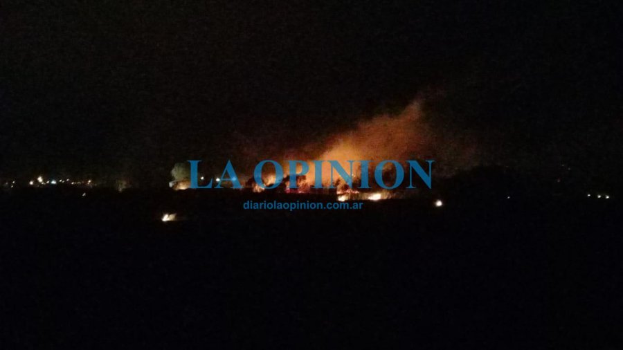 FOTOS Y VIDEOS DE DIEGO OLIVA