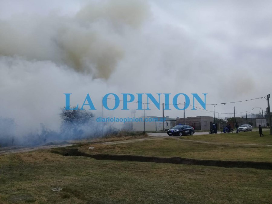 FOTOS Y VIDEO DE DIEGO OLIVA