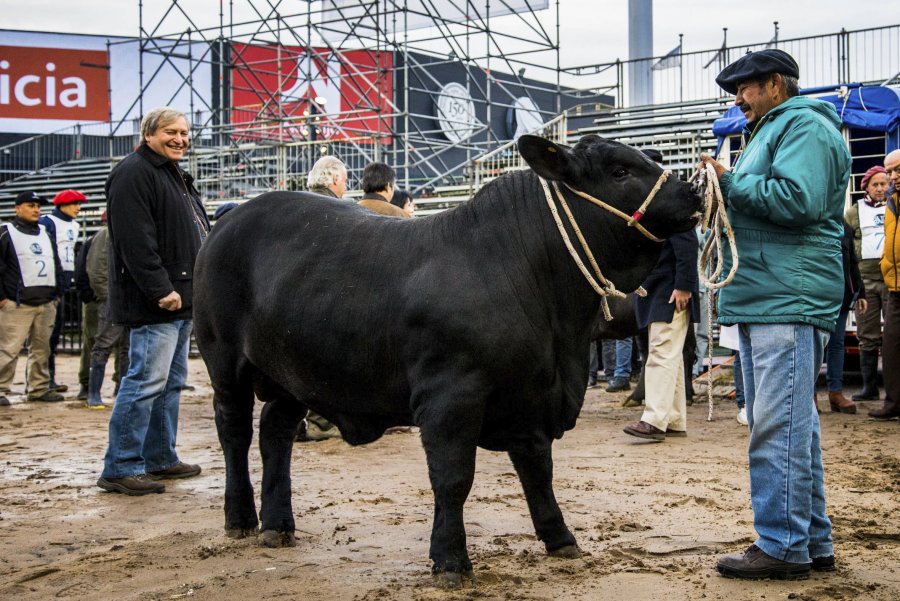 FOTO NA APOLO. Pesa m&aacute;s de 500 kilos.