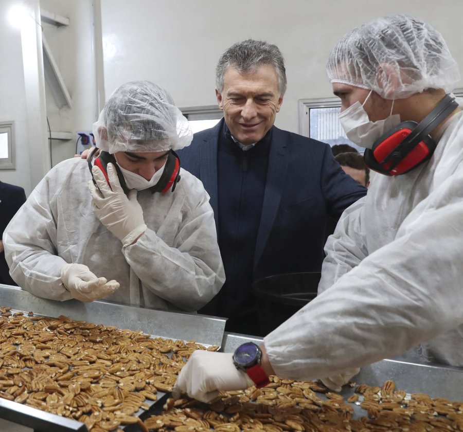 FOTO NA MACRI. Visit&oacute; un emprendimiento que produce nueces pec&aacute;n.