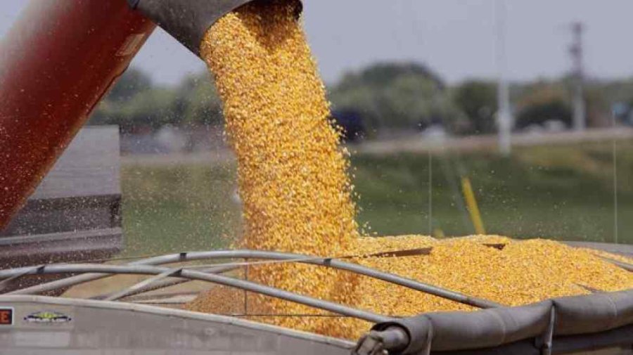 FOTO ARCHIVO GRANOS. Un beneficio para el 54% de la producci&oacute;n.