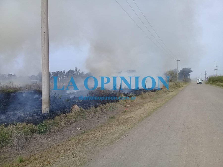 FOTO Y VIDEOS DE DIEGO OLIVA