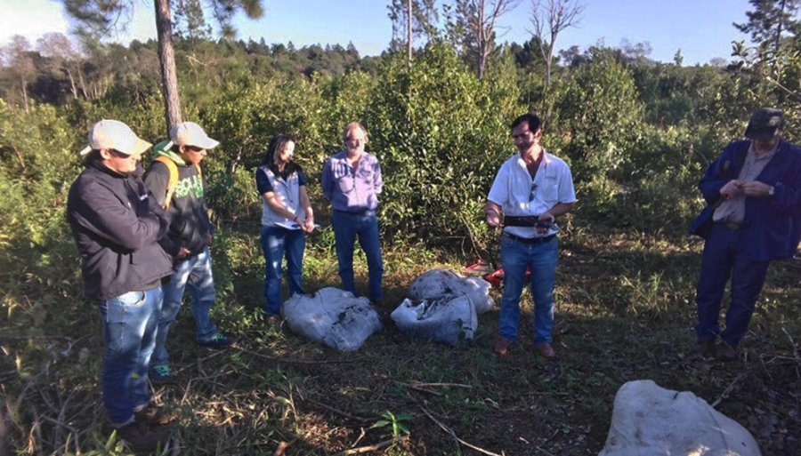 FOTO INTERNET TRABAJADORES RURALES. En Misiones podr&aacute;n solicitar prestaci&oacute;n por desempleo.