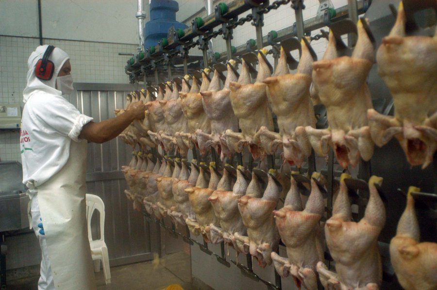 FOTO ARCHIVO CARNE DE POLLO. Aument&oacute; un 20 por ciento tras la devaluaci&oacute;n. FOTO ARCHIVO ROBERTO DOMENECH. Habl&oacute; sobre  aumento del pollo.