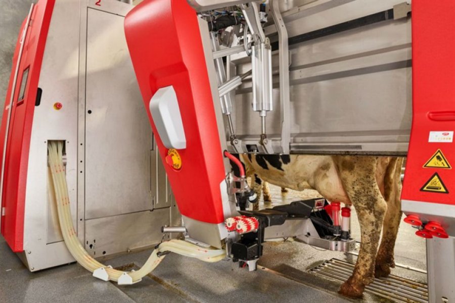FOTO INTERNET TAMBO ROBOTIZADO. Una postal de uno en pleno funcionamiento. FOTO INTERNET EL ORDE&Ntilde;E. En una instalaci&oacute;n de primer&iacute;simo nivel.