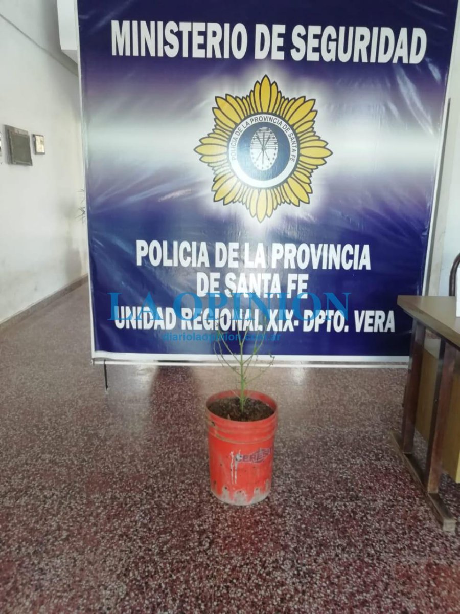 FOTO ARCHIVO