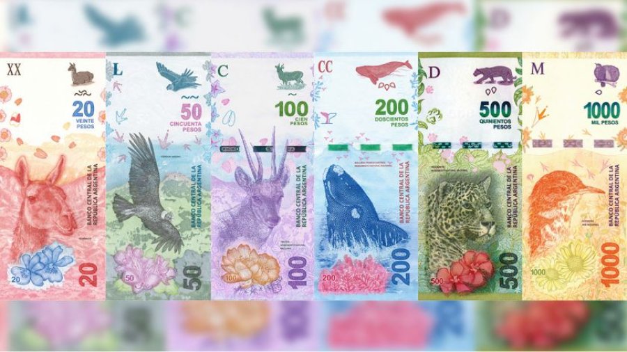 FOTO ARCHIVO BILLETES. A partir de seis meses no se imprimir&aacute;n m&aacute;s con animales.