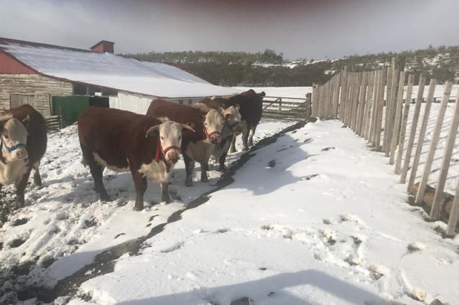 FOTO INTERNET LA HACIENDA. As&iacute; se la observa durante el invierno, con nieve y hielo.  FOTO INTERNET DUE&Ntilde;O Y PRESIDENTE. Jorge Sevillano y Alejandro de La Tour.