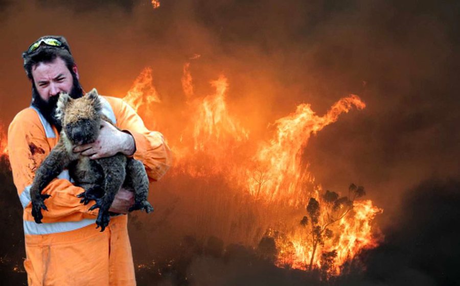 FOTO AFP INCENDIOS. Actualmente est&aacute;n causando p&eacute;rdidas incalculables en Australia.